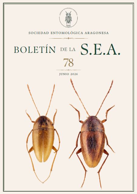 Boletín 78